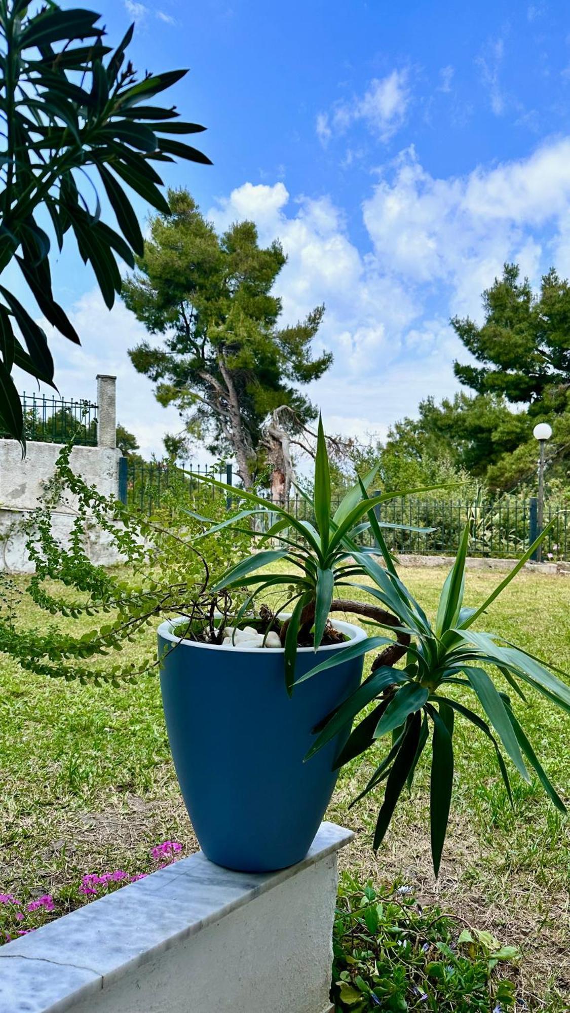 Apartment Rita Sea View Kallithea (Chalkidiki)
