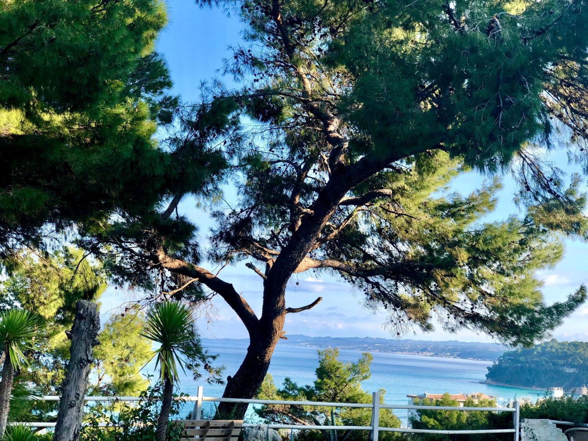Rita Sea View * Kallithea (Chalkidiki)